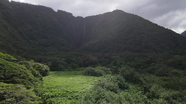 Aerial view of the Waipio Valley on the Big Island of Hawaii with its beautiful waterfalls shrouded in fog and clouds.
