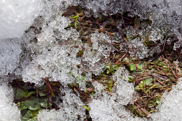 melting snow and bare spring ground