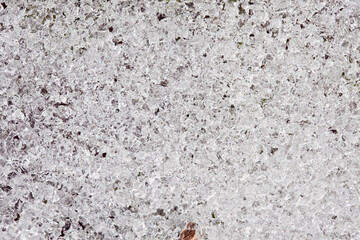 melting snow highly detailed texture, top view, close up