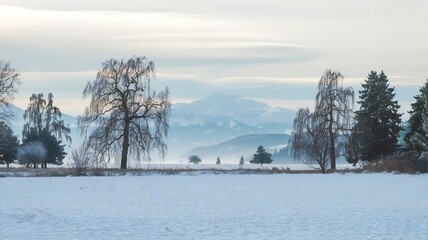 Obraz premium Winter snowy landscape