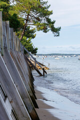 Vue des renforts en bois du littoral du Cap Ferret en France