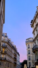 Fototapeta premium purple sunset in paris architecture old buildings