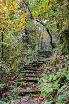 stone staircase in the woods in autumn