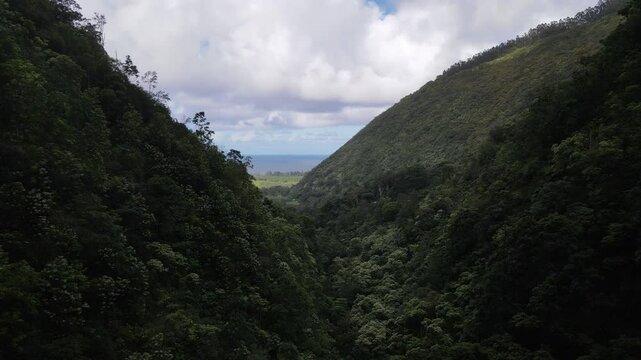 Aerial view of the Waipio Valley on the Big Island of Hawaii with its beautiful waterfalls shrouded in fog and clouds.