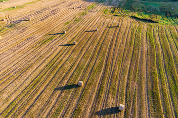 Agricultural field after autumn harvest, aerial view