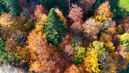 Fall in the mountain