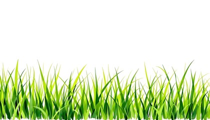 Fototapeta premium Beautiful watercolor art of green grass set against a white background. Watercolor of green grass side view isolated on a white background. watercolor painting of green grass border 