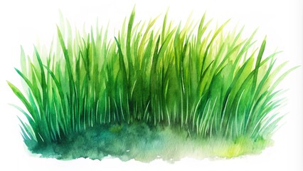Beautiful watercolor art of green grass set against a white background. Watercolor of green grass side view isolated on a white background. watercolor painting of green grass border 
