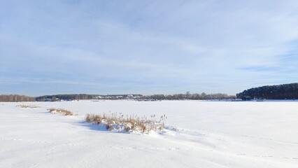 In winter, the lake is covered with ice and snow There are trees on the shore, footprints in the snow, and city buildings on the far shore The reeds are frozen into the ice. Sunny weather and blue sky