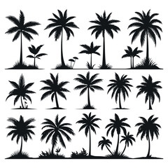 Silhouettes set of palm trees vector illustration