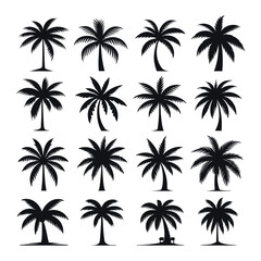 Silhouettes set of palm trees vector illustration