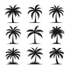Fototapeta premium Silhouette set of palm trees vector illustration