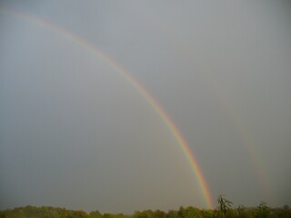 View with grey sky and two colorful rainbows over horizon of green trees on sunny and rainy summer weather. Topics: optical atmospheric phenomenon, weather change, meteorology, atmosphere, air space