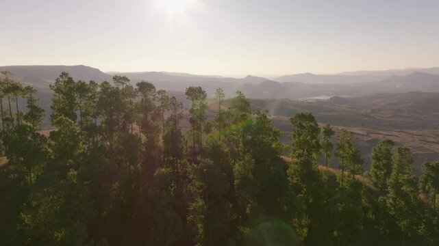 Camera moving forward over a long, winding road surrounded by red brown hills and vegetation in the Madagascar highlands