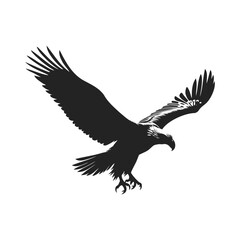 Obraz premium A minimalist black and white image of an eagle in flight