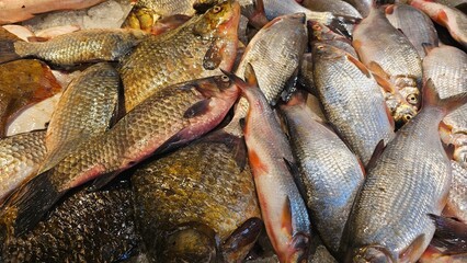 A close up image of a variety of fresh fish on ice at a fish market. 