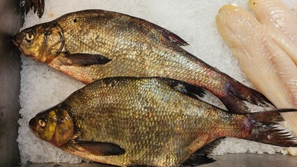 A close up image of a variety of fresh fish on ice at a fish market.