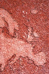 Globe and continents close view illustration
