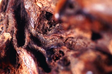 Wooden texture close view background