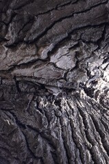 Wooden texture close view background