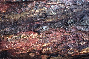 Wooden texture close view background