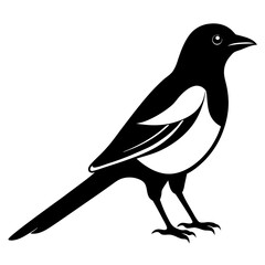 Simple magpie silhouette vector logo icon on white background