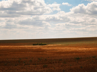 The image shows a wide field with golden grass, with a green spot in the distance. The sky is covered with fluffy clouds, light blue.
