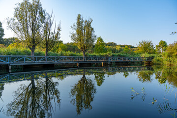 A bridge over a pond with trees in the background. The water is calm and the sky is clear