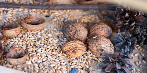 Futter für Eichhörnchen und Vögel, Nüsse, Getreide
