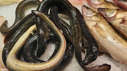 A close up image of a variety of fresh fish on ice at a fish market. 