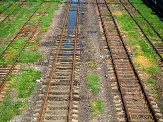 Fototapeta premium Rails with sleepers. Many tracks. Railway tracks. Railway crossing.