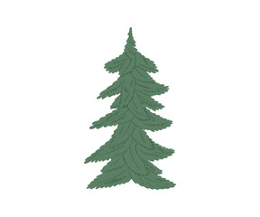 Obraz premium The Christmas tree is hand drawn in a flat style. Hand drawn vector illustration.