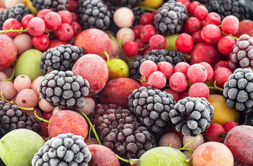 Frozen mixed berries as background - red currant, white currant, blackberry, gooseberry and black currant.