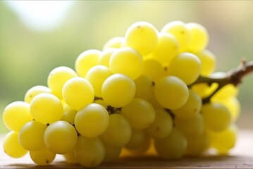 bunch of white grapes