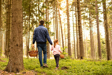 Fototapeta premium Father child walking in the forest going blueberry mushroom picking, family outdoor nature activities, leisure father daughter bonding 