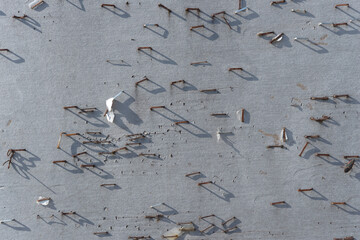 close-up of many rusty staples tacked to a message board outdoors