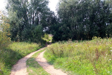 Obraz premium Summer dirt road in the countryside through the trees. 