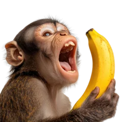 Velours gordijnen A playful monkey holding a banana with an expressive face, white isolated background. © Rona_65