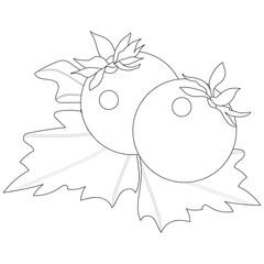 Two fresh tomatoes with leaves. Black and white. Vegetable vector illustration for coloring book. Healthy food.