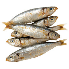 Obraz premium Freshly caught silver fish stacked isolated on white background.