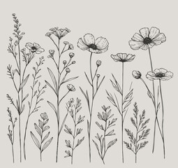 Adobe Illustrator Artwork
outline black and white line art, lineart, doodle flower. set of contour floral of cosmos, Chamomile, daisies, grasses, stems, herbs, leaves decorative elements