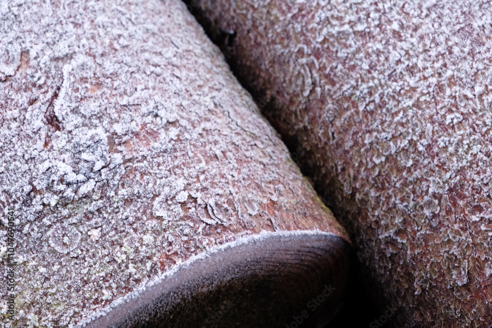 Poster a piece of wood covered in frost and snow. the wood appears to be old and weathered, with a rough te