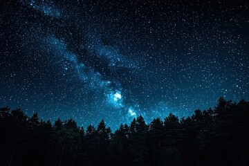 Fototapeta premium Silhouetted Forest Against a Starry Night Sky