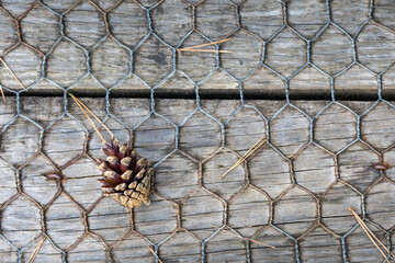 A brown pine cone lies on the wooden planks of the path. The path is covered with an anti-slip metal mesh.