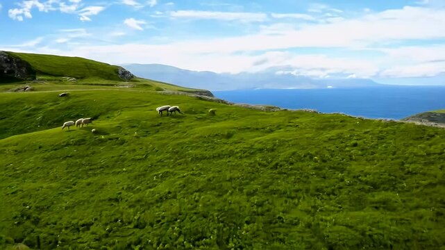 serene 4K footage Faroese ep grazing green hills Mykines land sunny summer day captures breathtaking natural beauty Faroe lands providing tranquil view idyllic rural