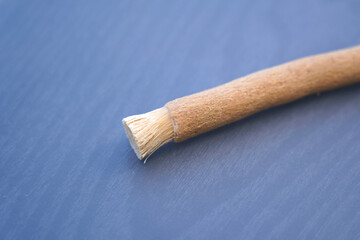 Old islamic traditional natural toothbrush Miswak or Siwak. (Salvadora persica) was used by the Babylonians some 7000 years ago and Greek, Roman empires, and also by ancient Egyptians and Muslims.