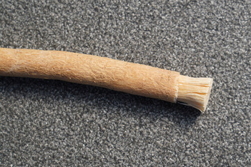 Old islamic traditional natural toothbrush Miswak or Siwak. (Salvadora persica) was used by the Babylonians some 7000 years ago and Greek, Roman empires, and also by ancient Egyptians and Muslims.