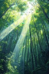 Fototapeta premium Serene Wide Angle View of Bamboo Forest
