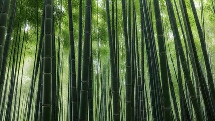 Fototapeta premium Dense Green Bamboo Forest Canopy Sunlight. Generative AI