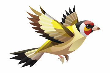 a flying songbird goldfinch isolated on white background